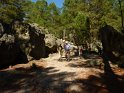 2014-06-05 17-03-01 Foret de Fontainebleau FGn